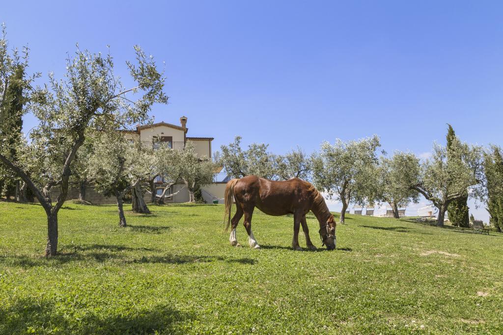 Agriturismo Le Bosche San Marino Exterior foto