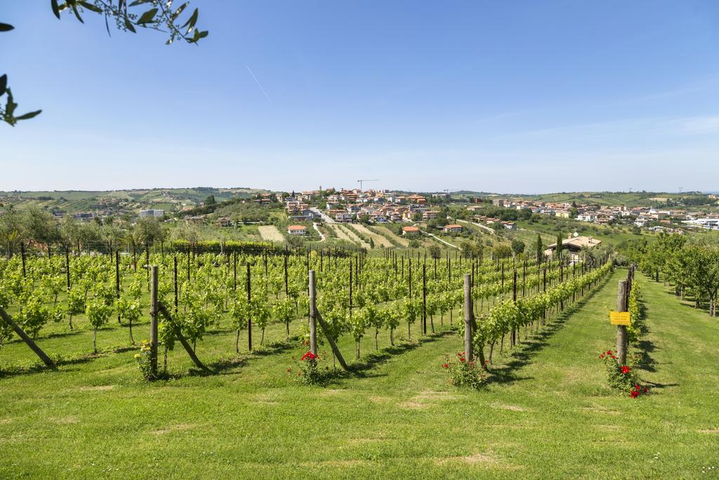 Agriturismo Le Bosche San Marino Exterior foto